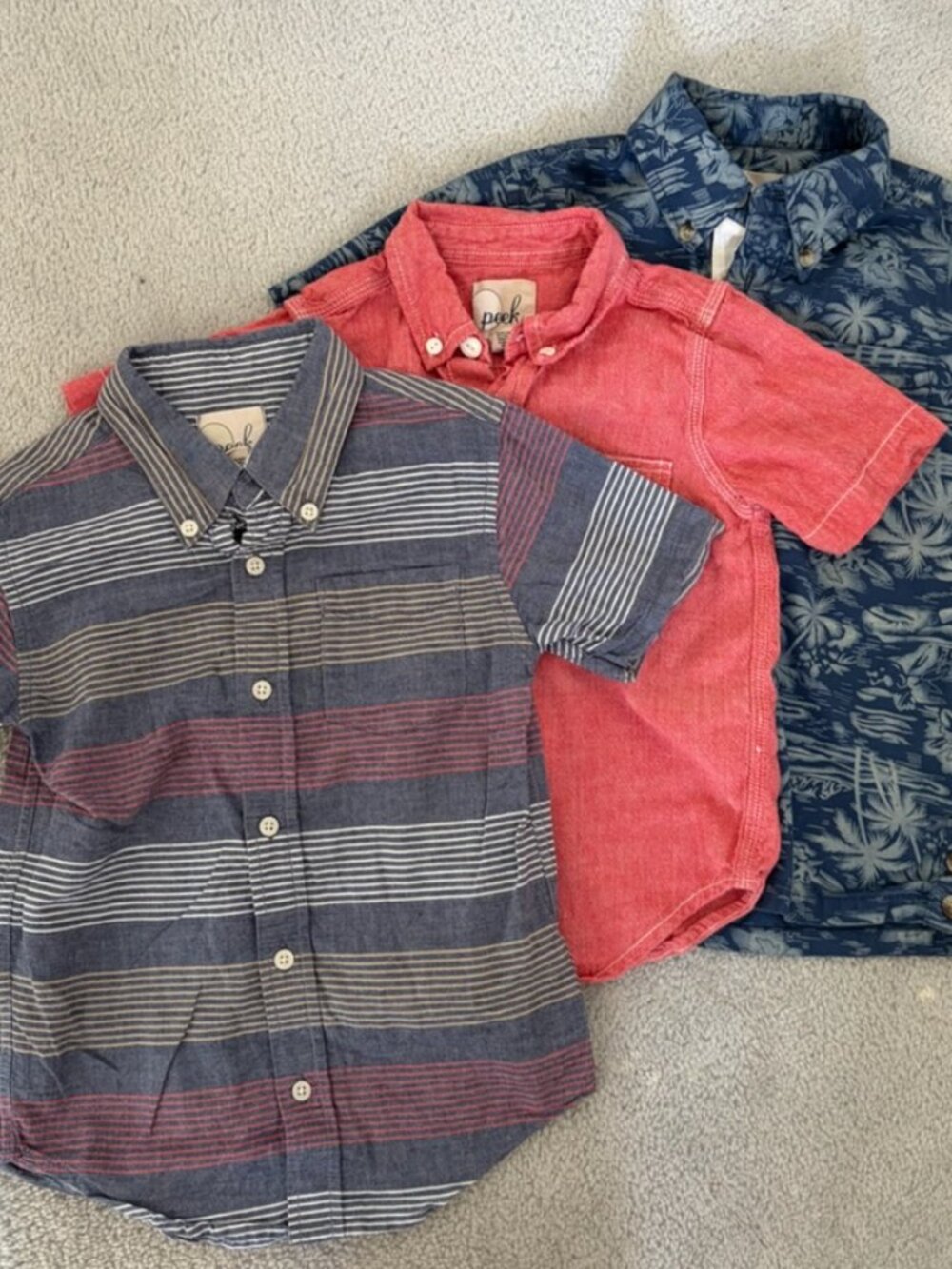 Peek Button Shirt Trio, M (6-7)